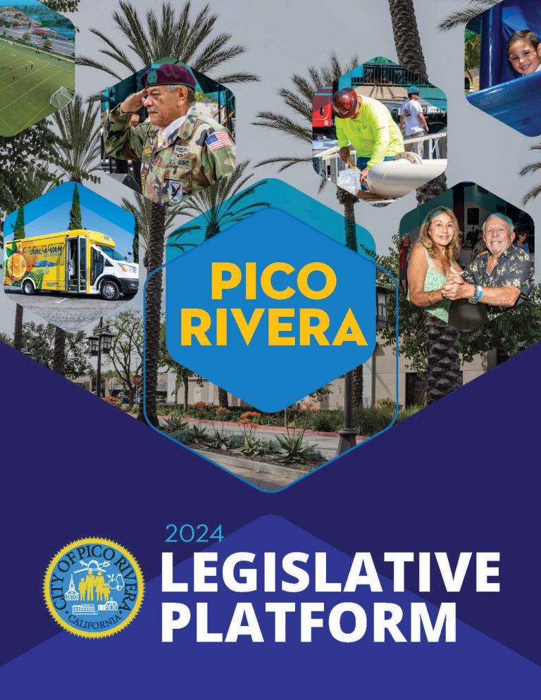 Legislative Platform brochure